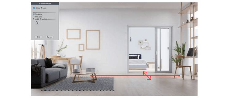 Rule - Safe Zone & Line Cross Alarm